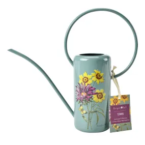 Asteraceae Indoor Watering Can