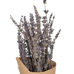 French Lavender Dried Flower Bouquet